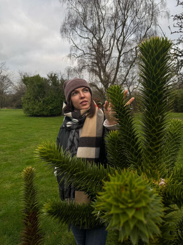 Why Do We Call Them Beanies? A Deep Dive into the World of Winter Hats - HAAKWEAR USA