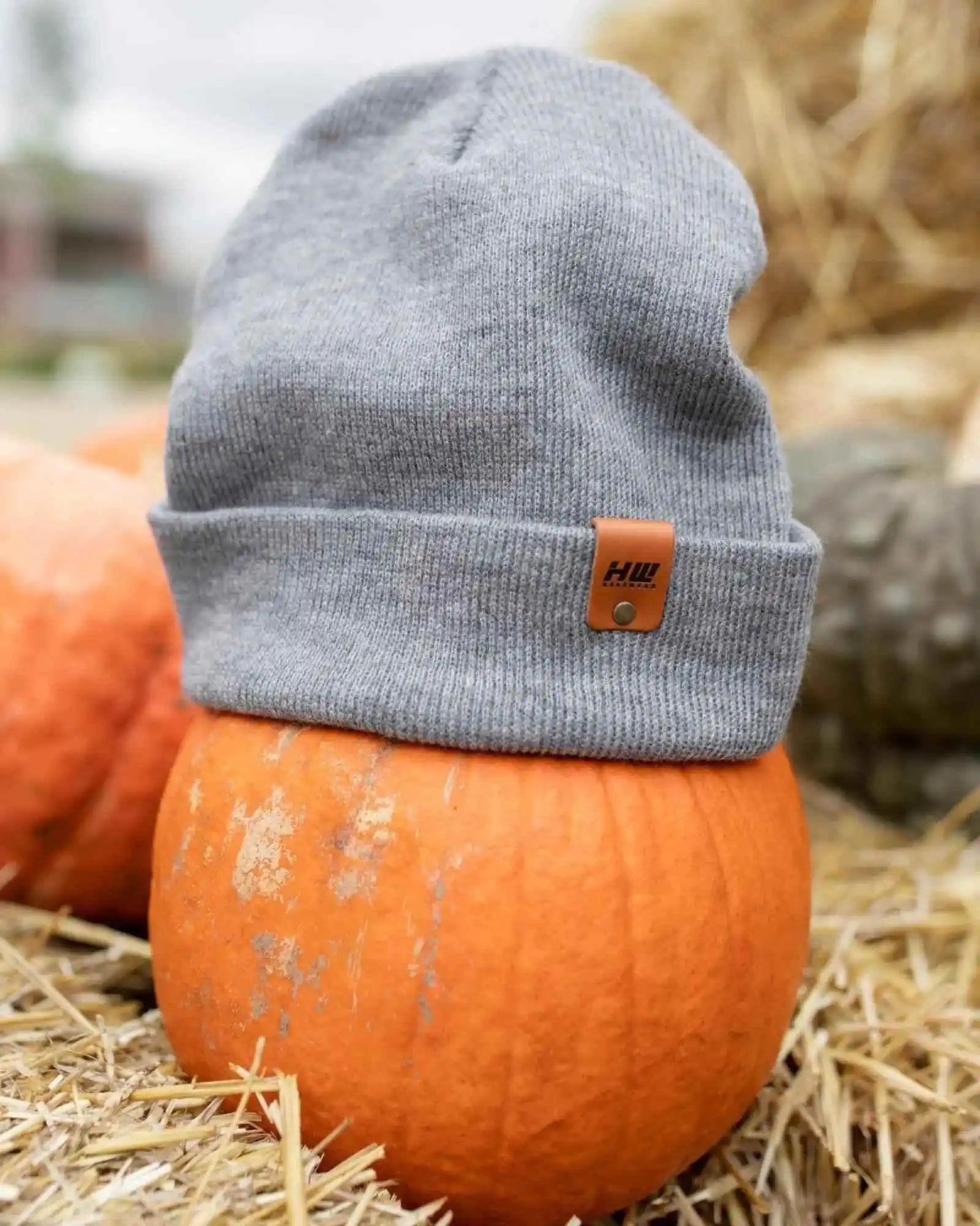 Koala gray cuffed beanie with brown leather logo patch, worn on a pumpkin display.